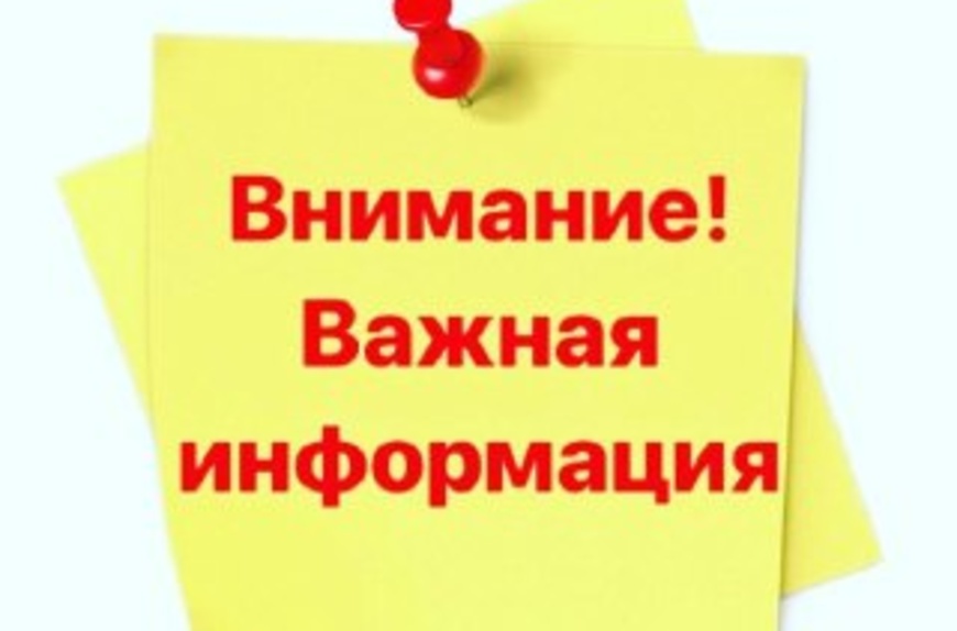 О всероссийской акции «Мое будущее»