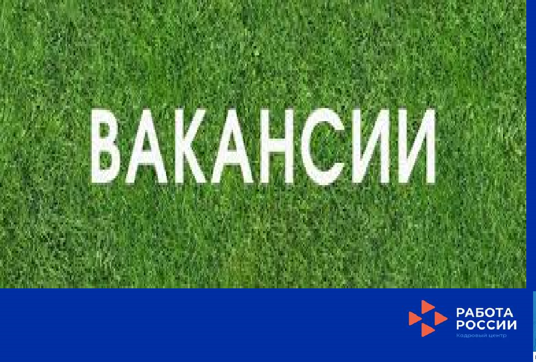 Информация о вакансиях других регионов с предоставлением жилья.