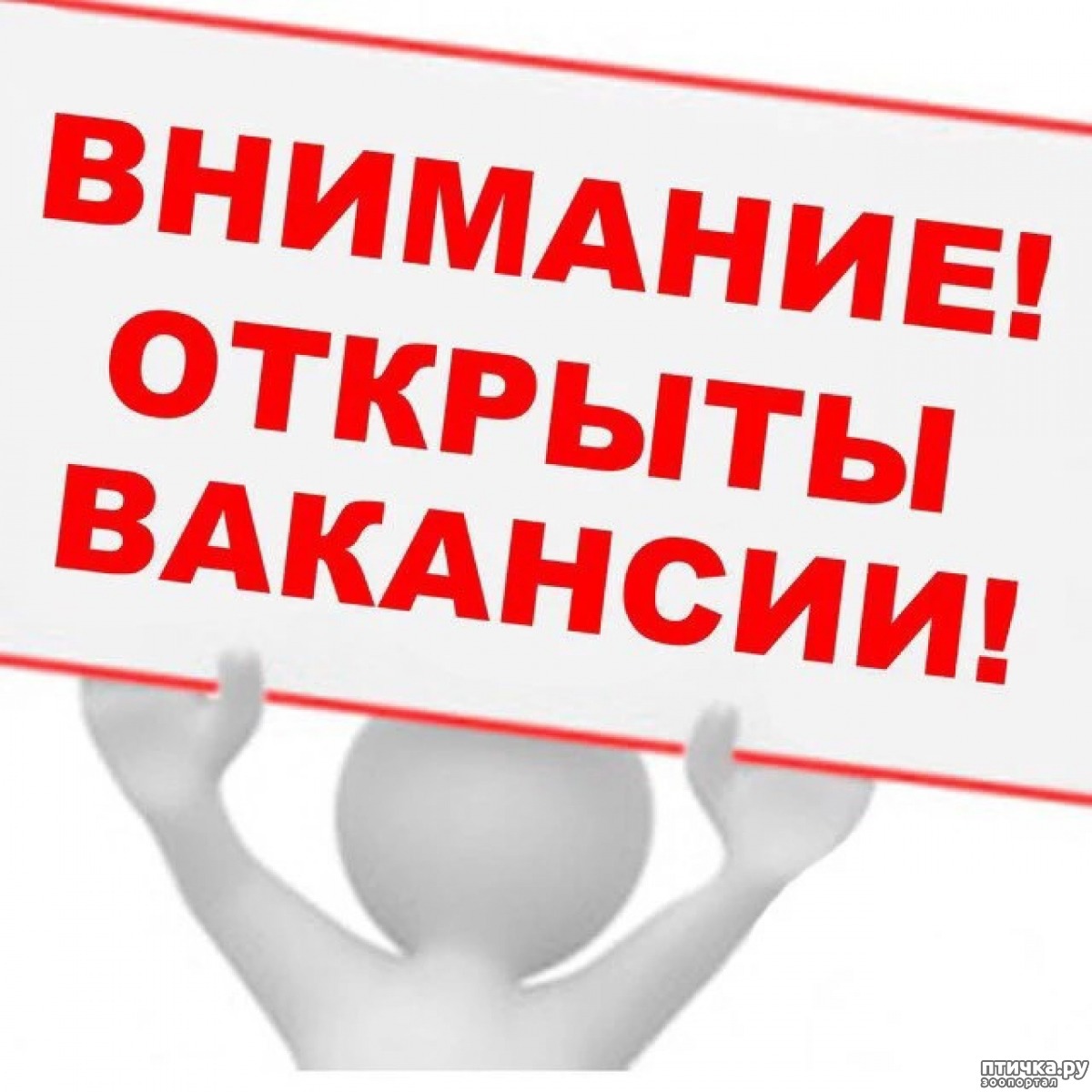 Филиал ФБУЗ «Центр гигиены и эпидемиологии в Нурлатском районе» требуются: